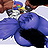 Falco Lombardi