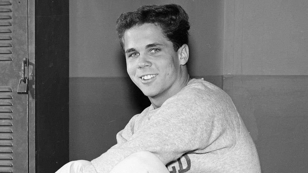 Wally Cleaver