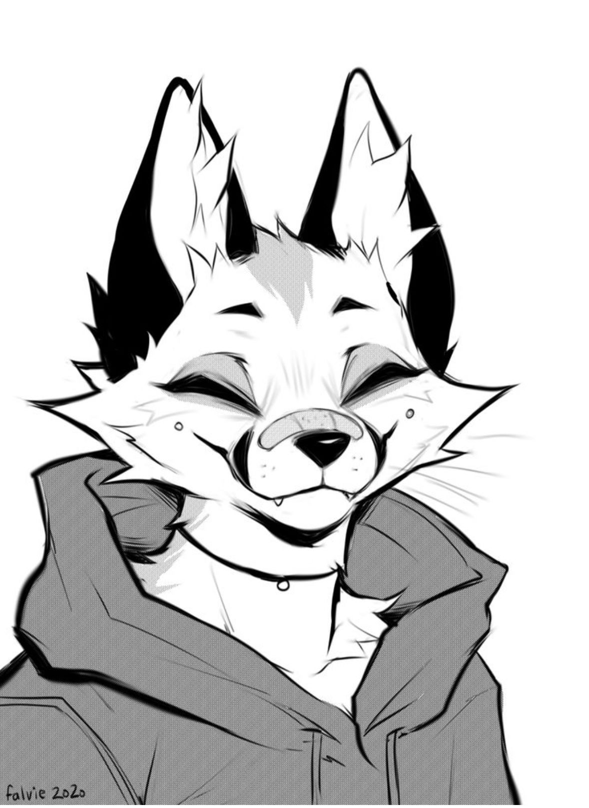 Kit Tawny