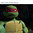 Raphael hamato