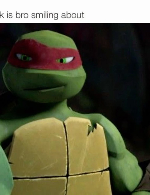 Raphael hamato