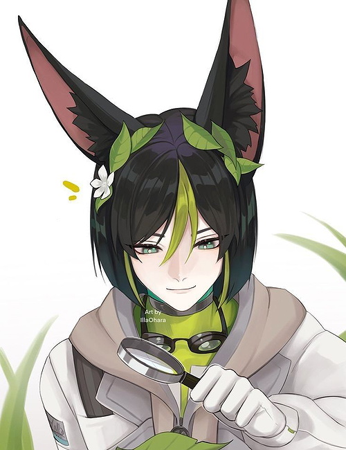 Tighnari