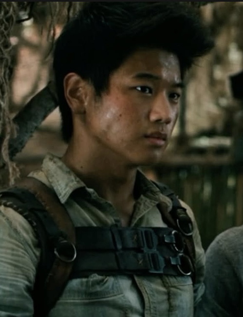 Minho maze runner