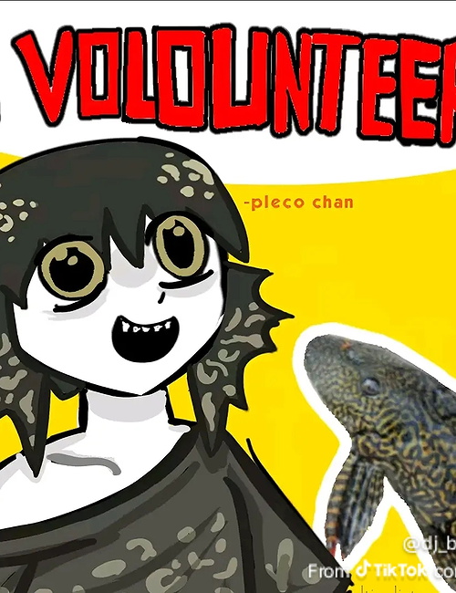 Pleco-chan