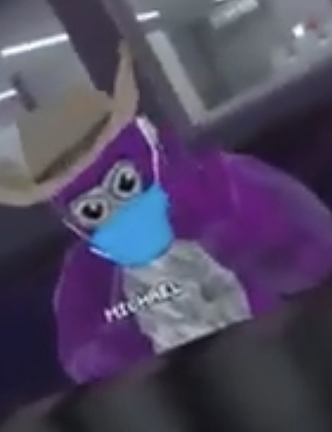 Micheal ryz (gtag)