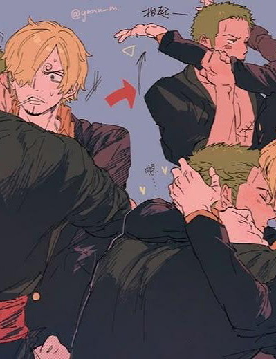 Sanji x Zoro