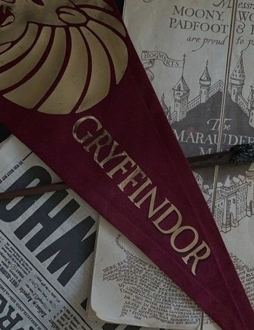 JAMES POTTER