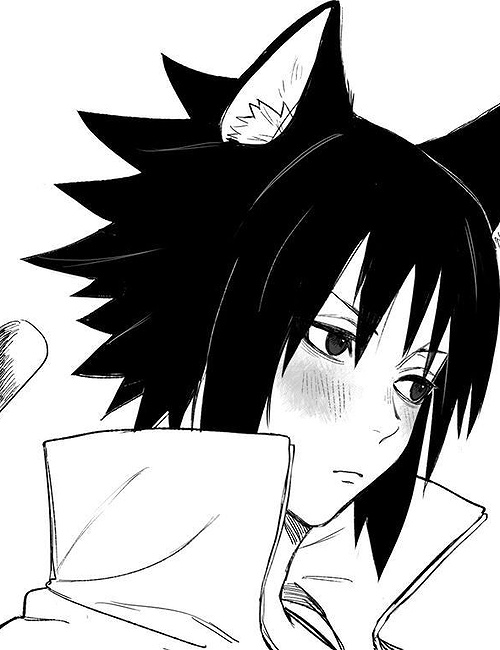 Sasuke (Catboy)